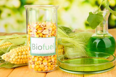 Carne biofuel availability
